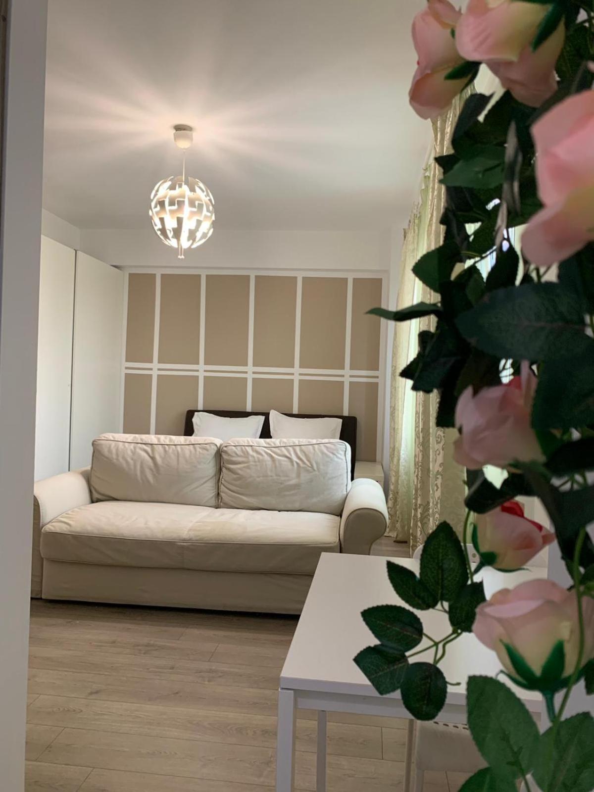 Lazar Towers Studios & Apartments Near Palas Ιάσιο Εξωτερικό φωτογραφία